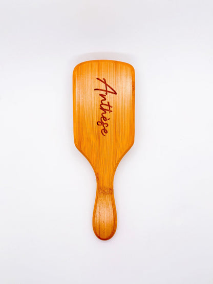 Brosse démêlante