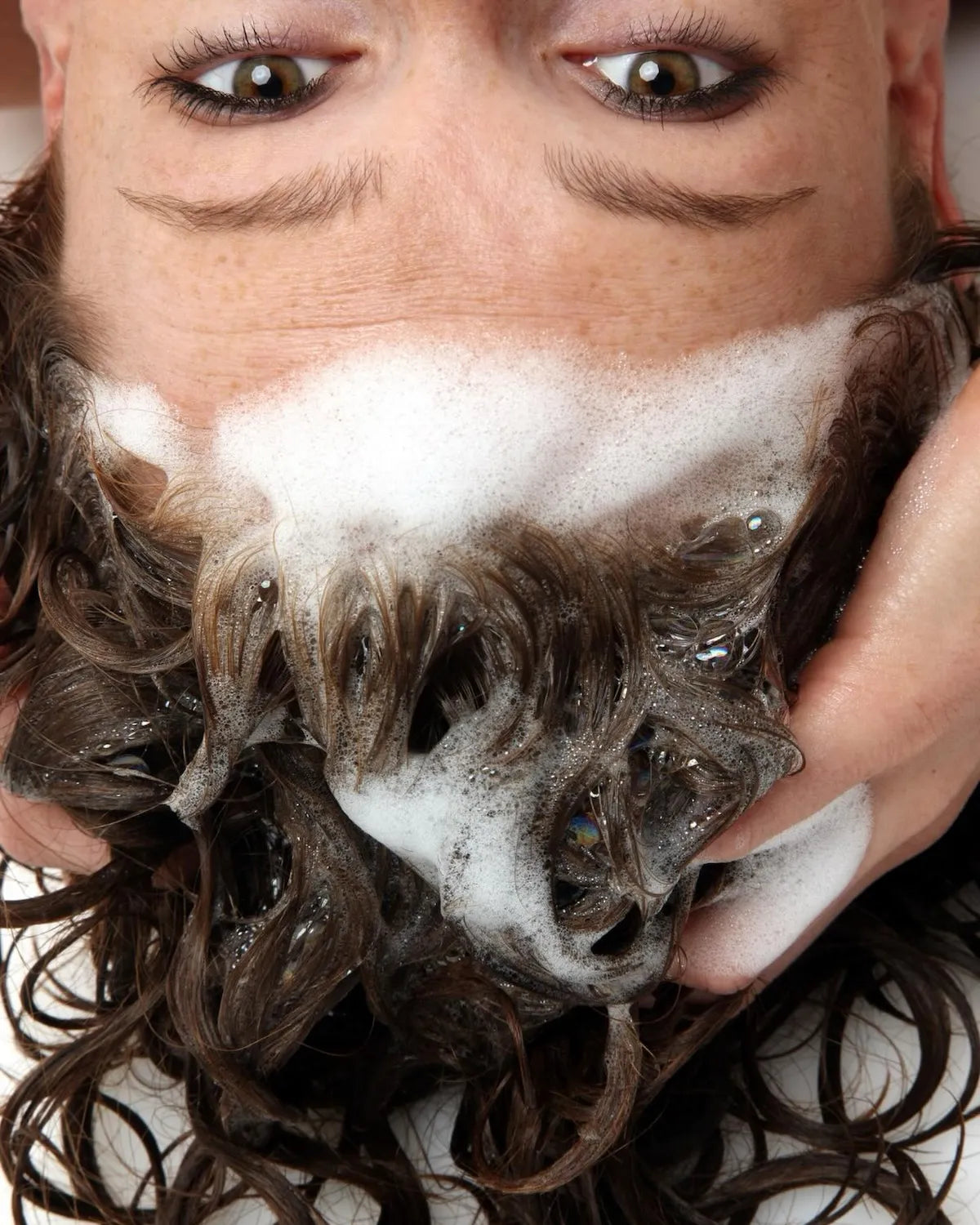 Shampoing  Fleur de vigne Anthèse - Mousse activement